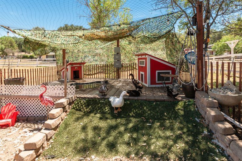 The duck yard under shade netting: a patch of lawn, a white duck, and two small red duck houses on a wooden deck.