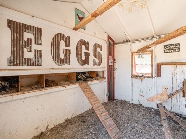 Inside a white coop: a row of nesting boxes under a large rusted-metal EGGS sign, with a ramp and a perch.
