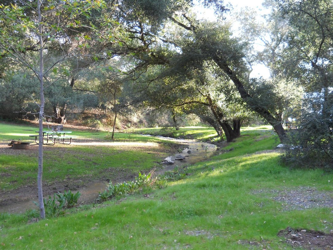 A picnic table in the shade of coast live oaks at Dos Picos County Park, with a small creek running past.