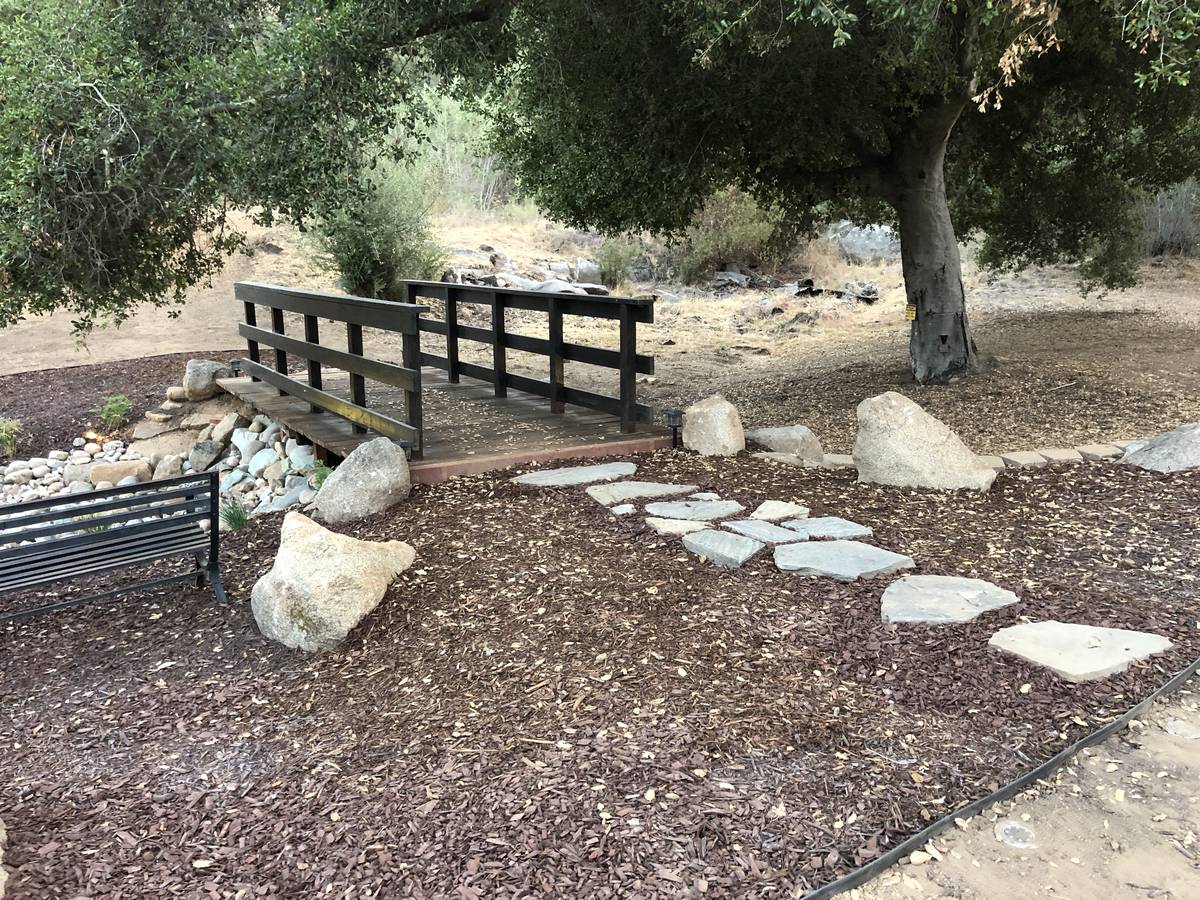 A wooden footbridge over the creek bed, with flagstone steps leading away under a live oak.