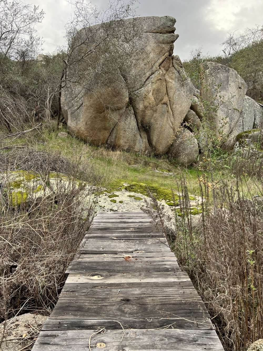 A plank boardwalk running across low ground toward a stack of granite boulders.