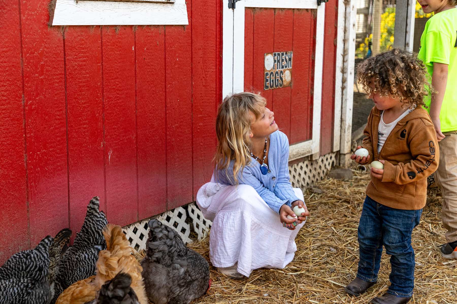 Kids holding fresh eggs outside the coop at Red Barn Ranch, hens gathered at their feet.