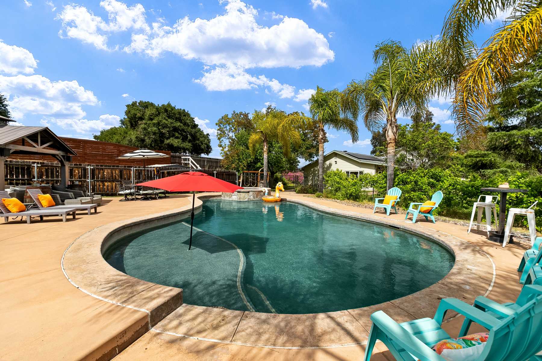 The curved pool at Red Barn Ranch with loungers, umbrellas and palm trees.