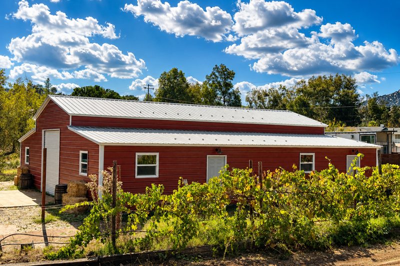 The long red barn behind a row of grapevines, under a blue sky with white clouds.