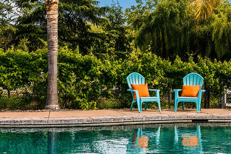 Two turquoise chairs at the poolside, with the grape vines growing along the fence behind them.