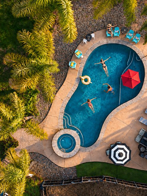 The Oasis from above with swimmers in the curved pool, a red umbrella and a striped one and loungers on the deck.